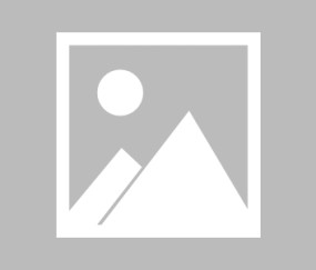 XINGKONG-德约科维奇新星战术调整表现惊艳，TES未来可期！的简单介绍