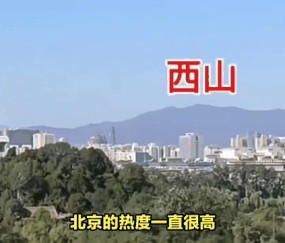 XINGKONG-包含赛地聚焦：全明星赛今夜热度飙升，巴西国家队防线松动，底气十足，轮换策略被讨论的词条